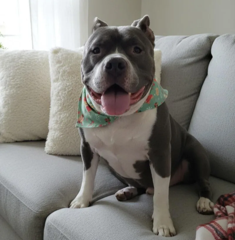 Spike Little thumbnail 2