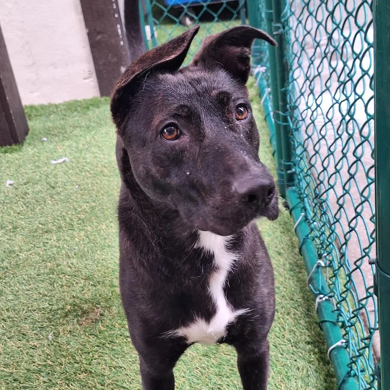 Polly Pocket thumbnail 2