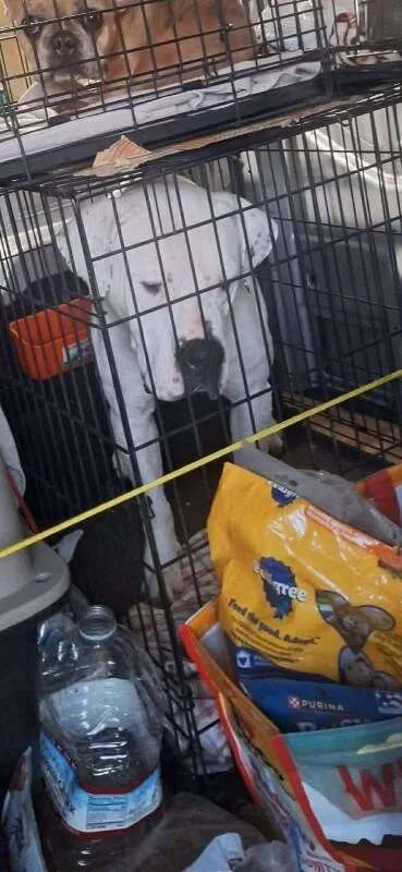 Socrates thumbnail 2