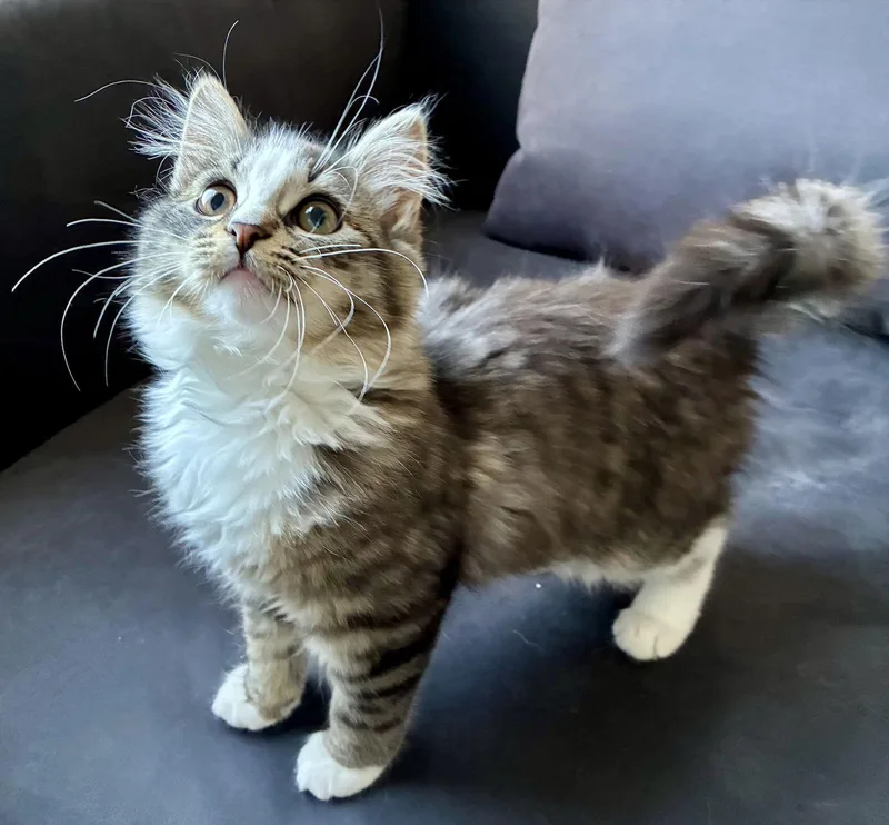 Supermoon thumbnail 2