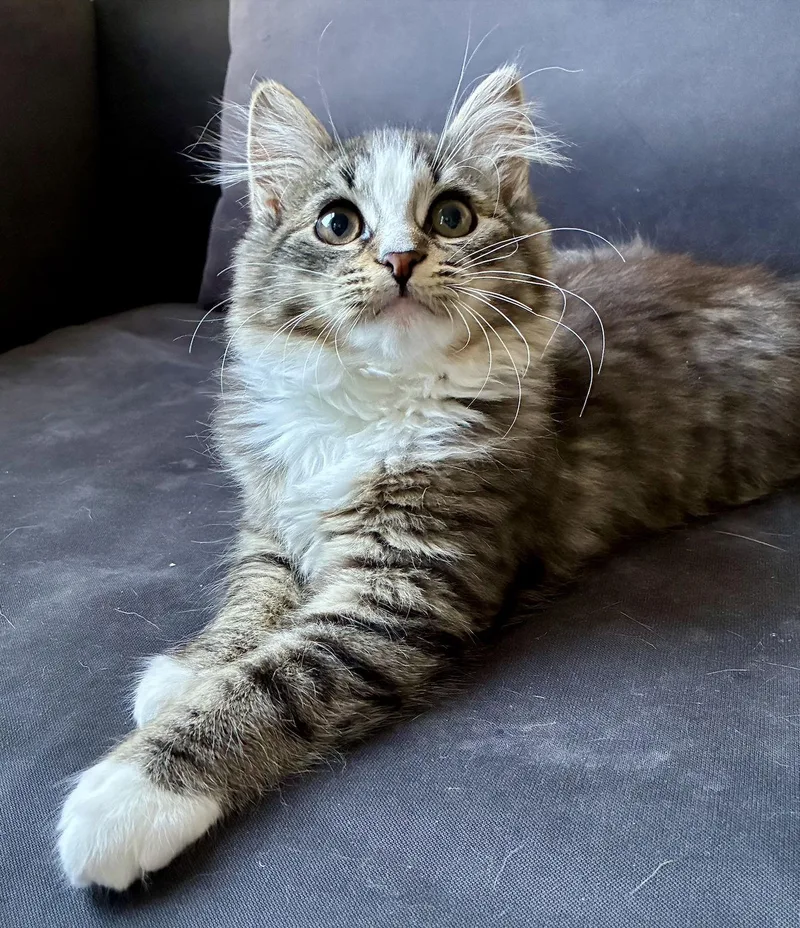 Supermoon thumbnail 3