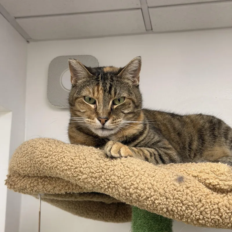 Mamacita thumbnail 5