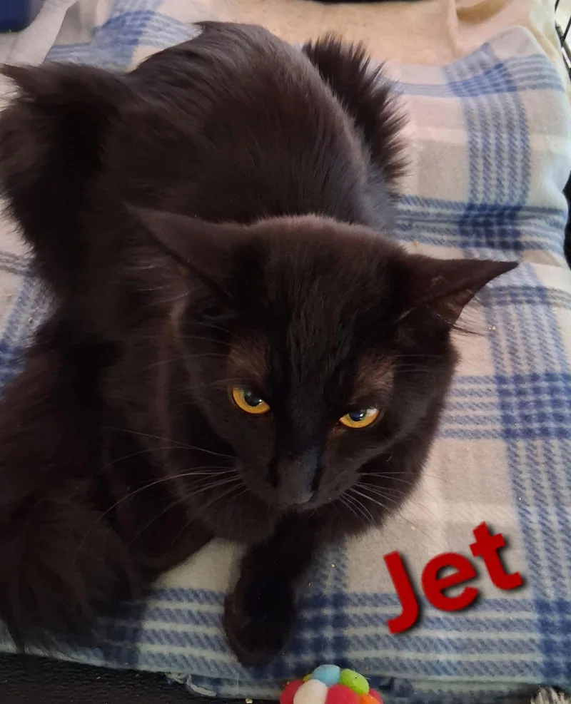 Jet