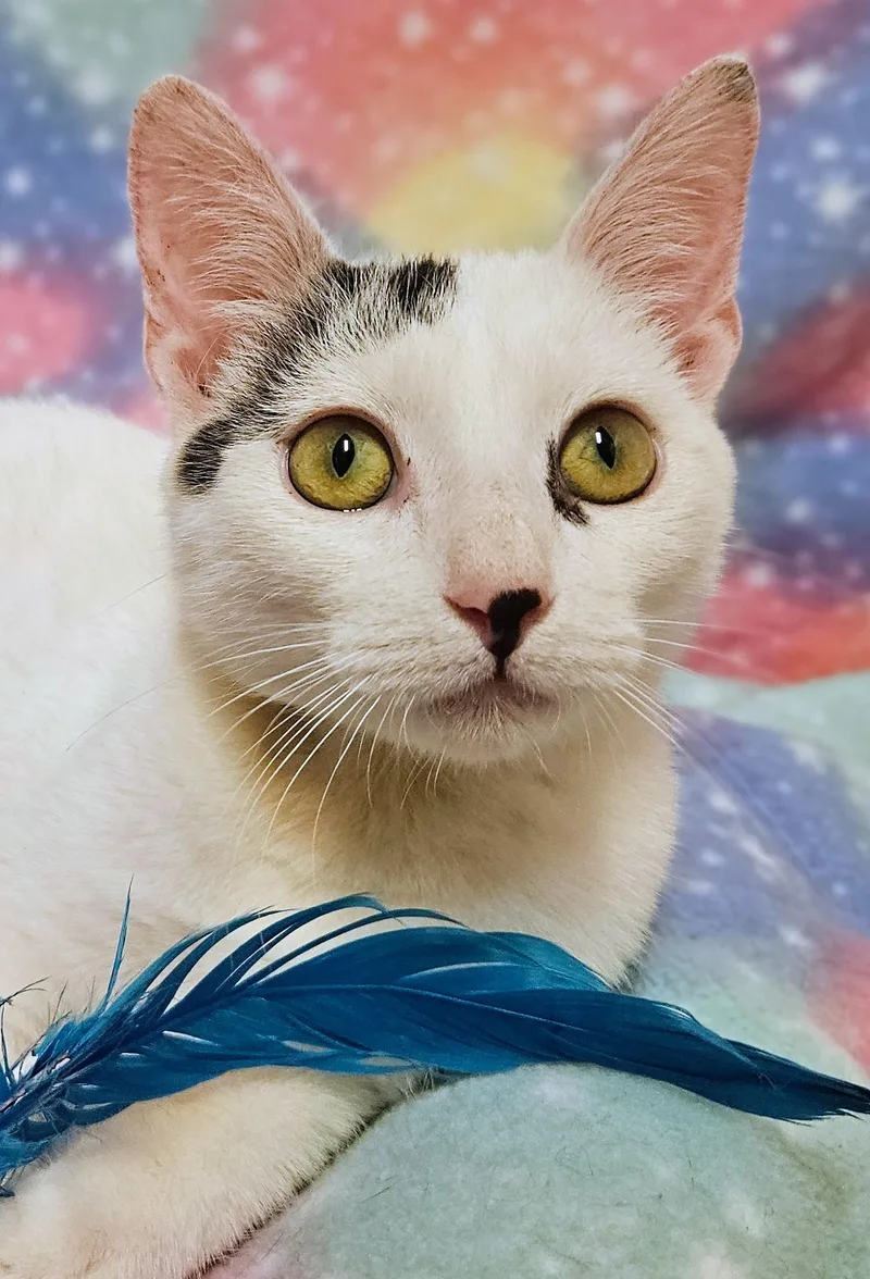 Lucky  Rancho Cucamonga thumbnail 2