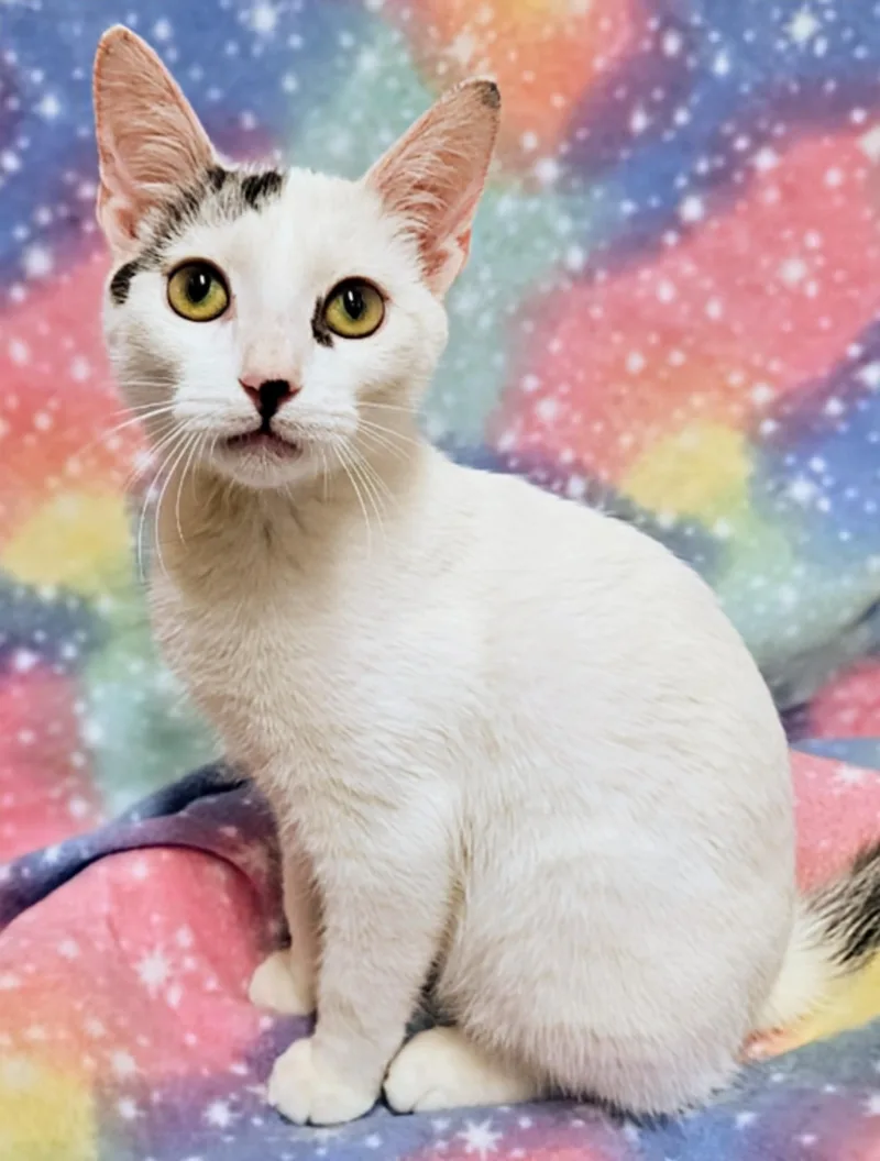 Lucky Rancho Cucamonga