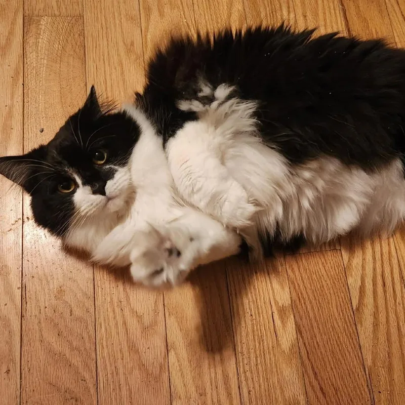 St. Lawrence thumbnail 2