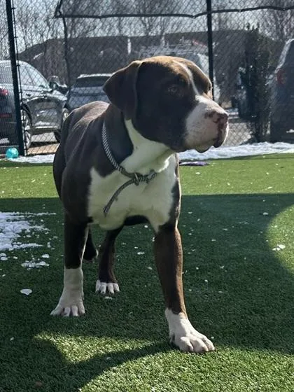 Rory Carmac Of Clan thumbnail 3