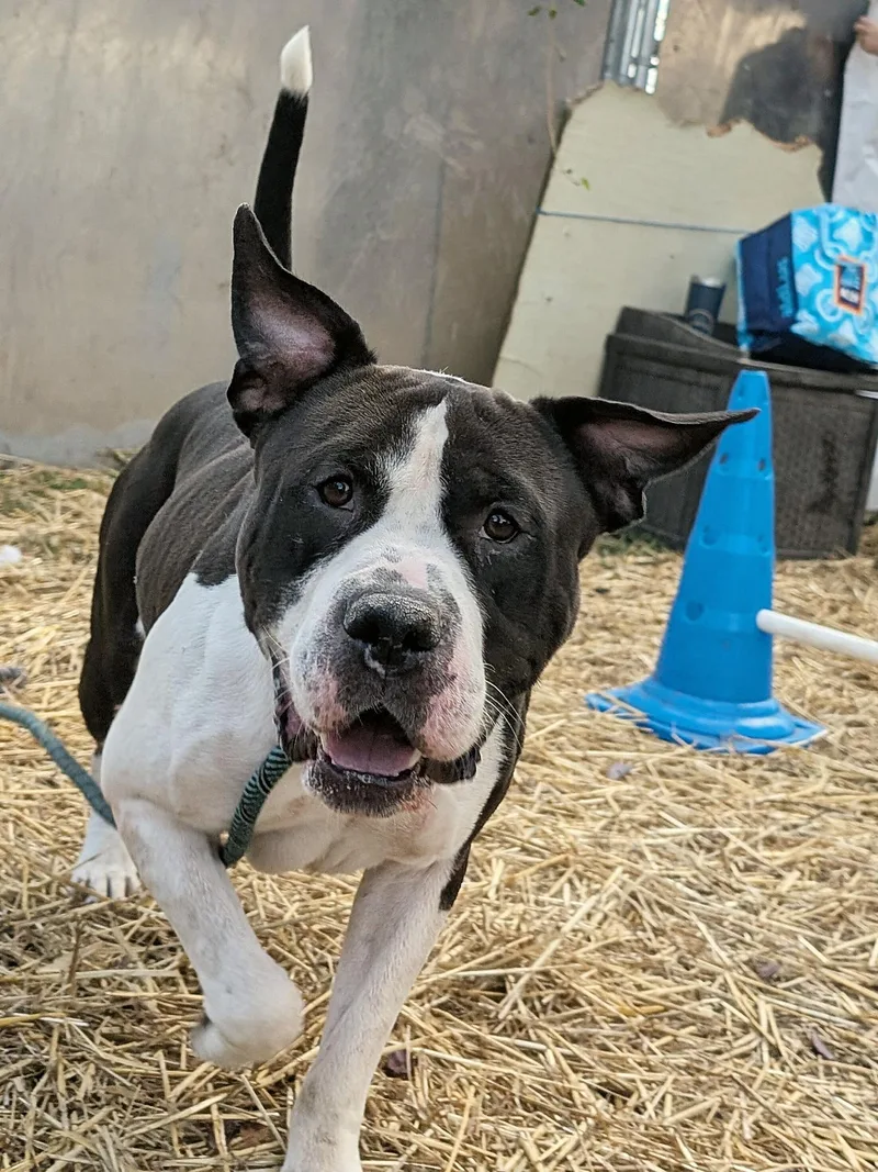 Vincenzo thumbnail 3