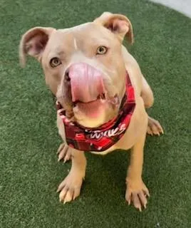 Harvey Milk thumbnail 2