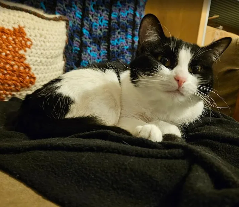 Laurel Kindred thumbnail 2