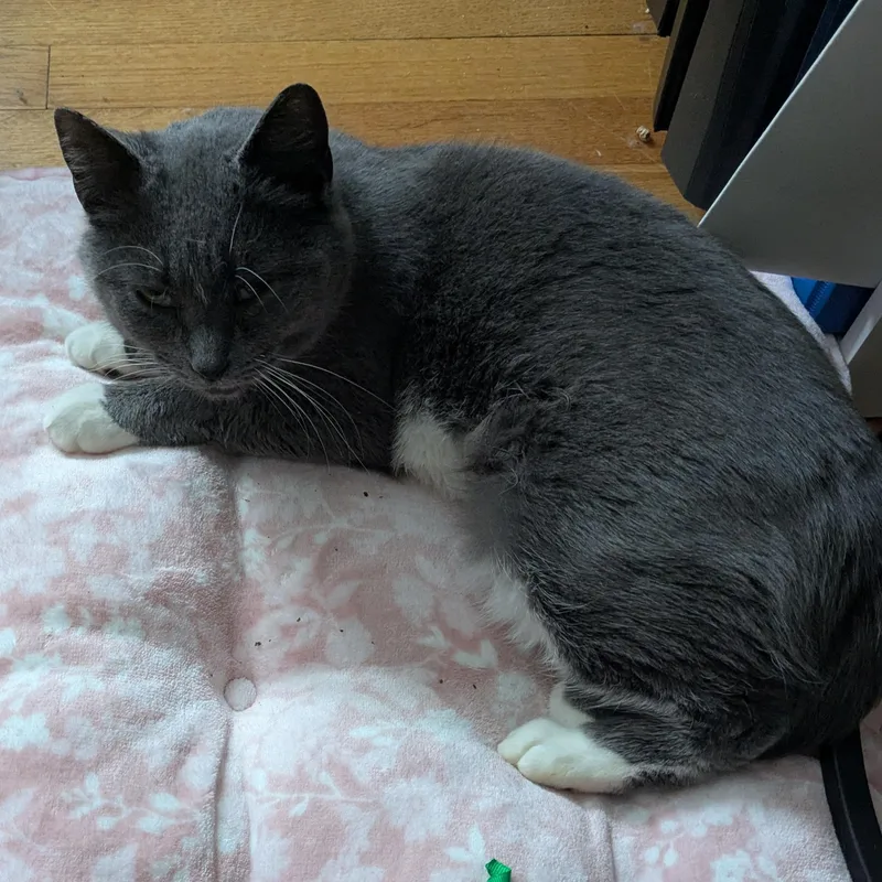 Discount thumbnail 2