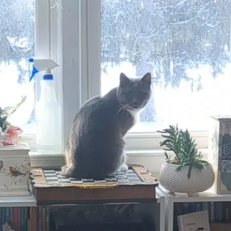 Discount thumbnail 3