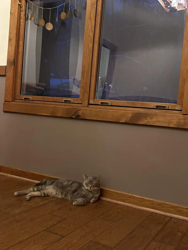 Earl Grey thumbnail 3