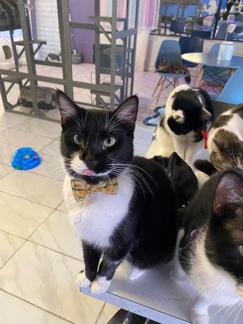 Drake Bonded With Kendrick