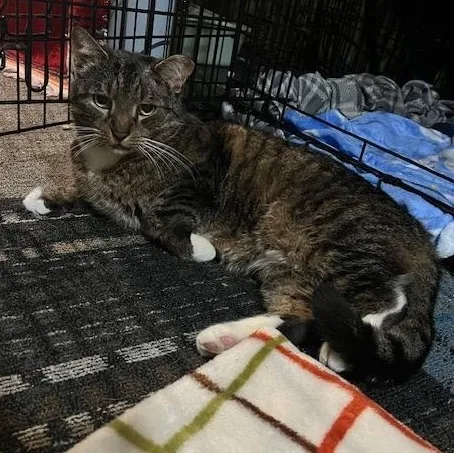 Mr. Pretty thumbnail 2