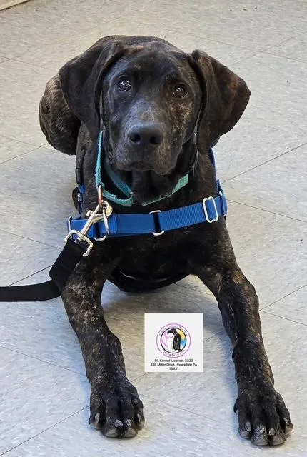 Mack In Prison Program thumbnail 2