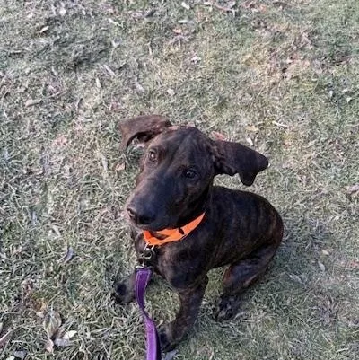 Mack In Prison Program thumbnail 3