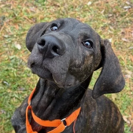 Mack In Prison Program thumbnail 4