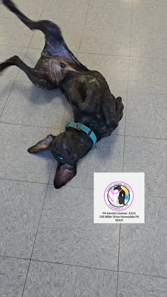 Mack In Prison Program thumbnail 5