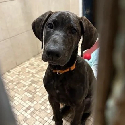 Mack In Prison Program thumbnail 6