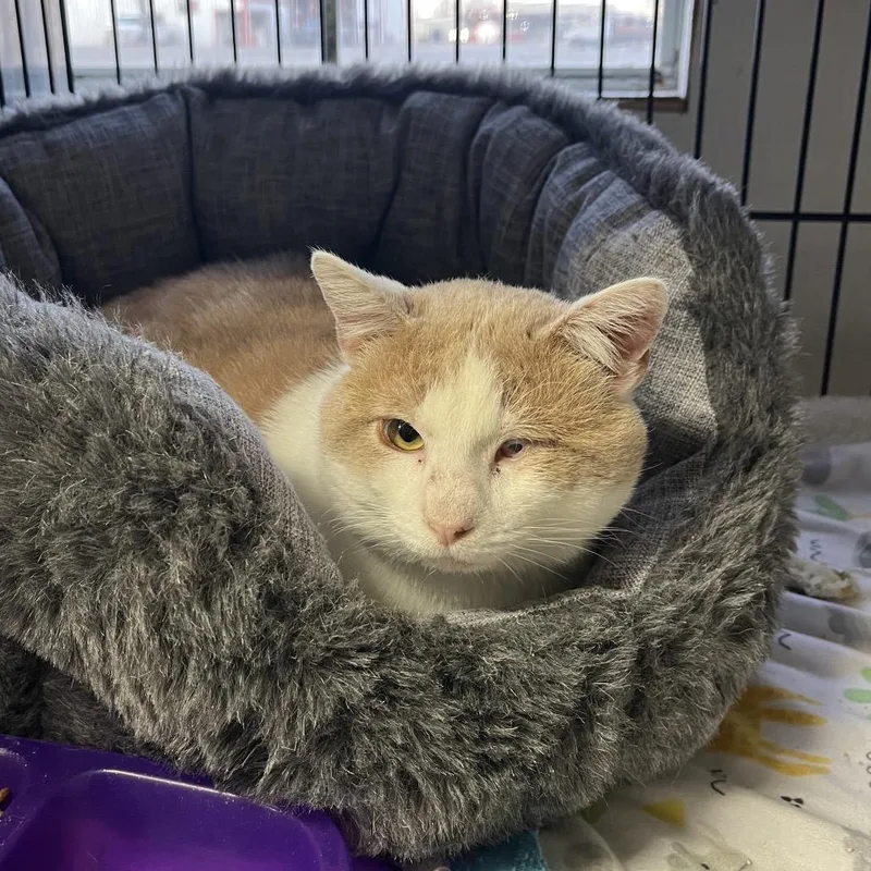 Ebeneezer thumbnail 2