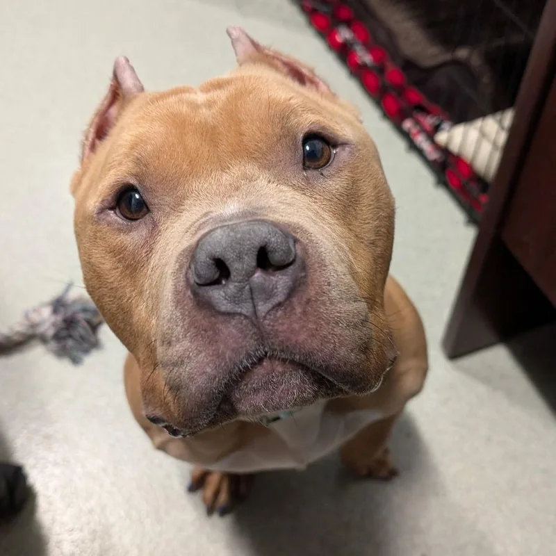 Hercules thumbnail 2