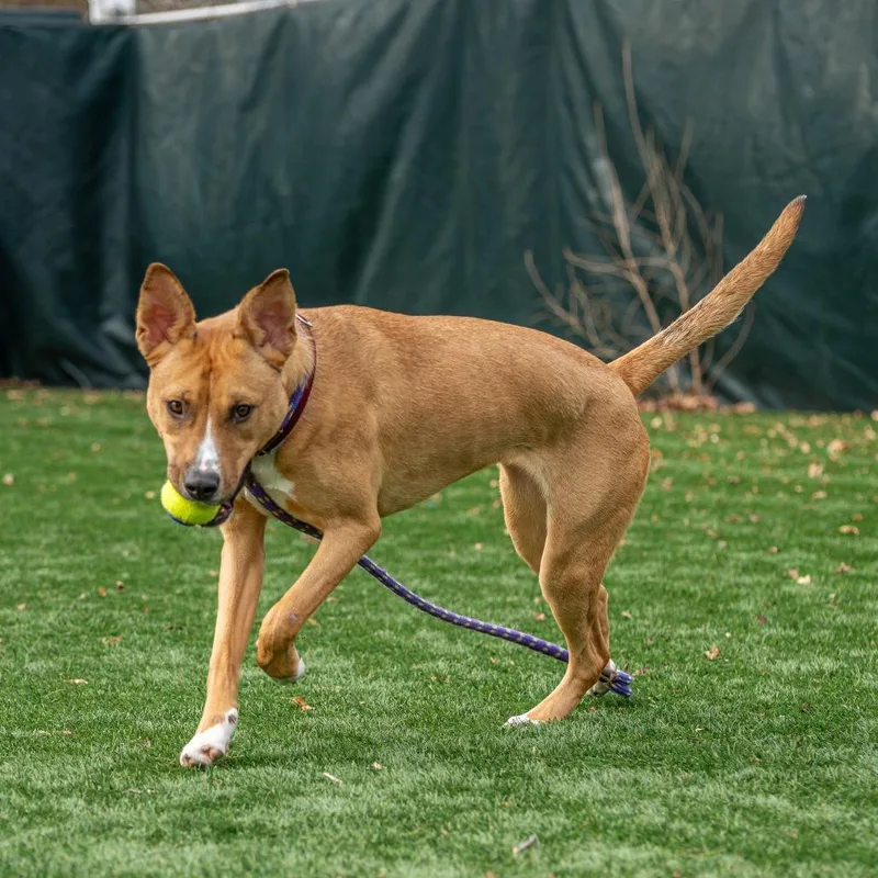 Winifred thumbnail 3