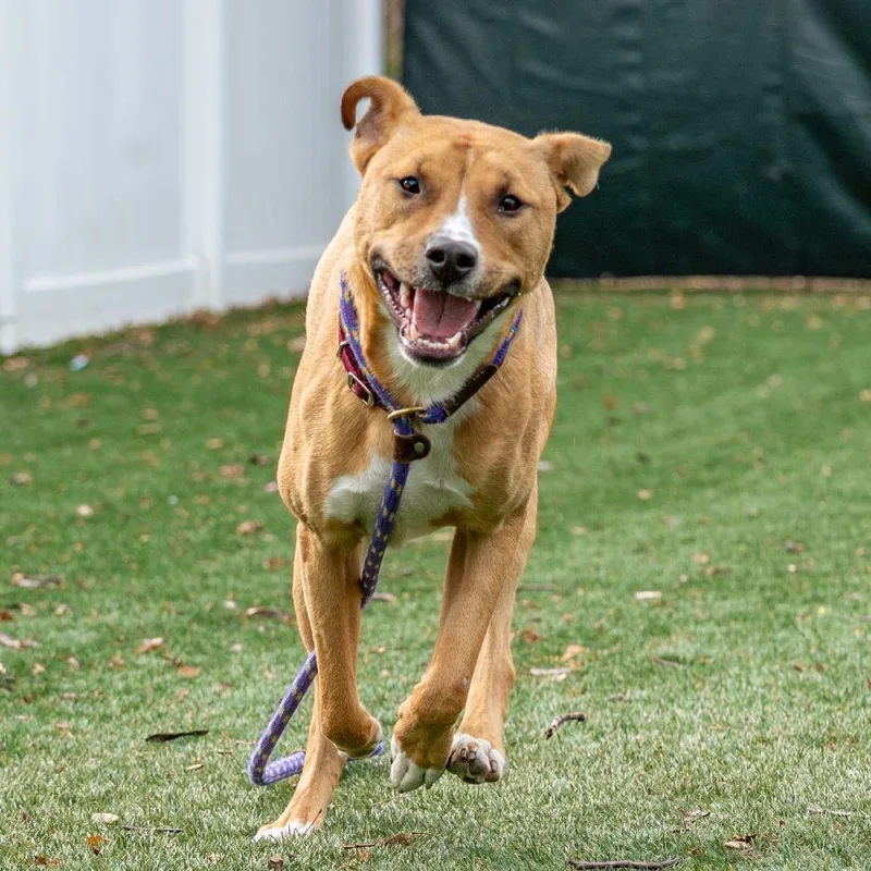 Winifred thumbnail 5