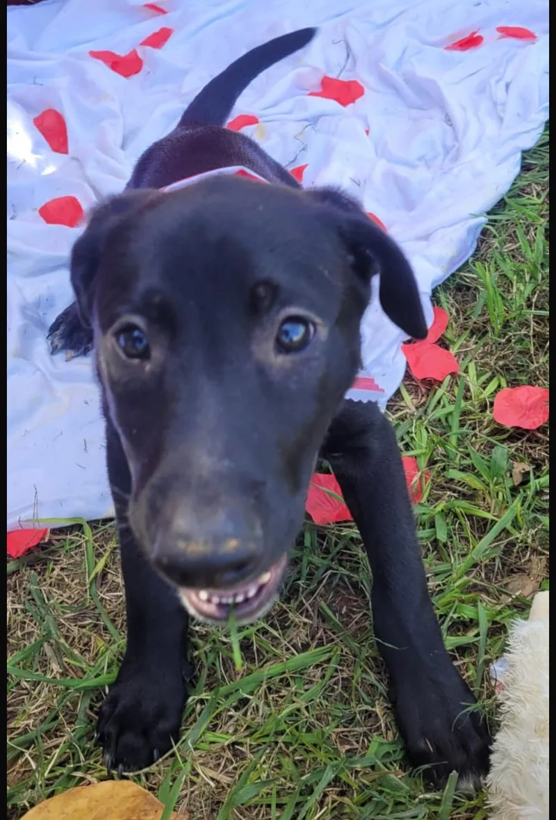 Shadow  Truly The thumbnail 2