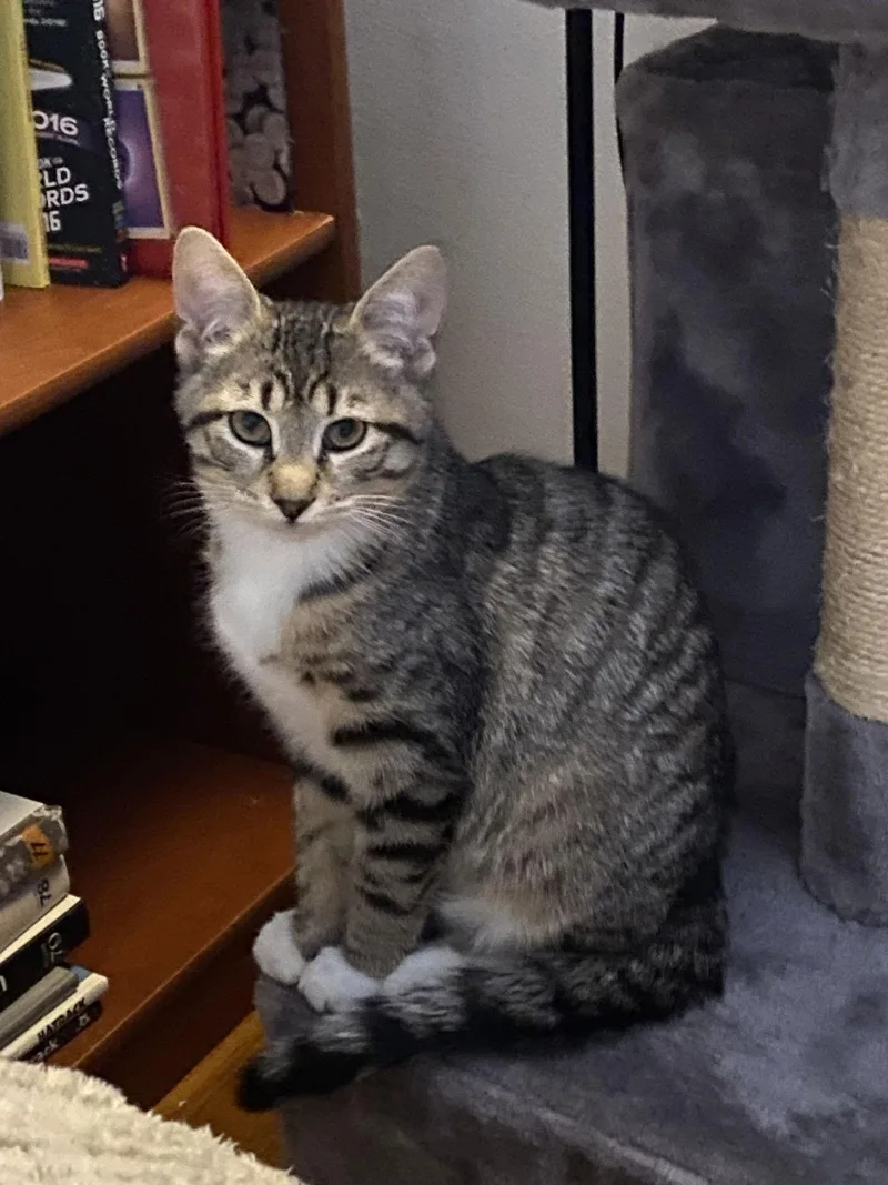 Franky Willow Grove Area