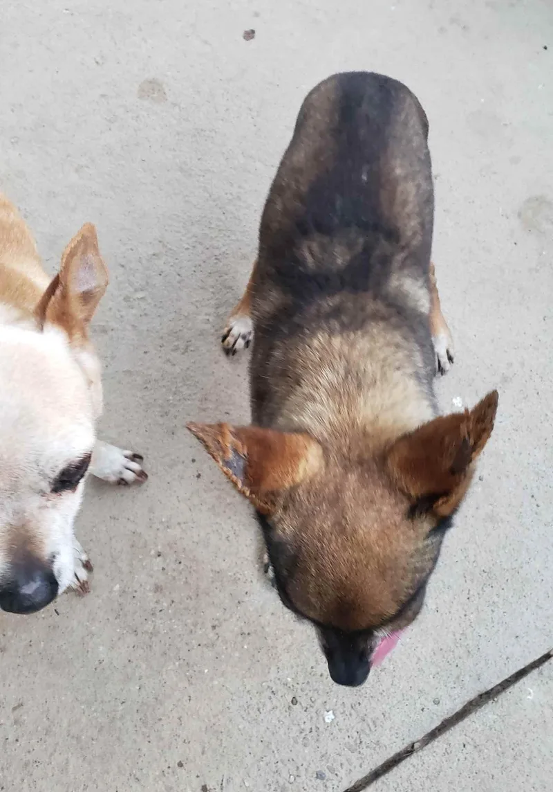 Espresso thumbnail 2