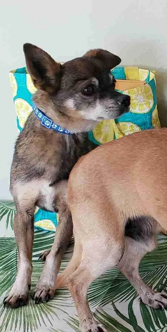 Espresso thumbnail 3