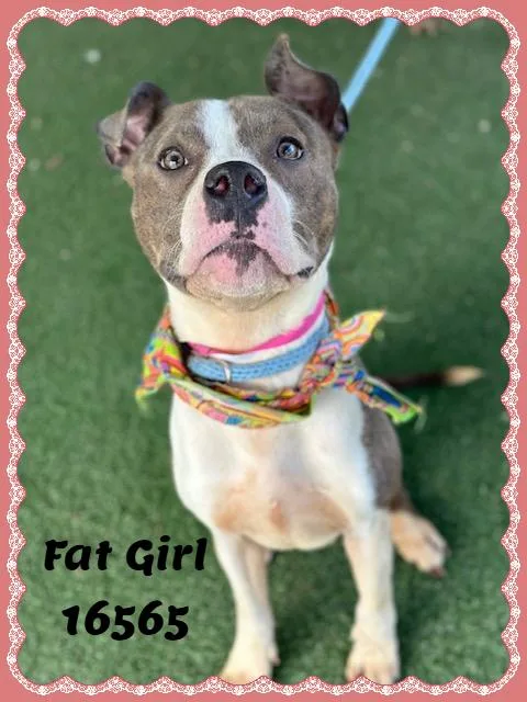 Fat Girl thumbnail 2