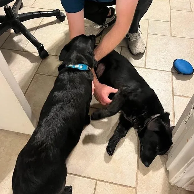 Shortcake  Loving Lb thumbnail 5