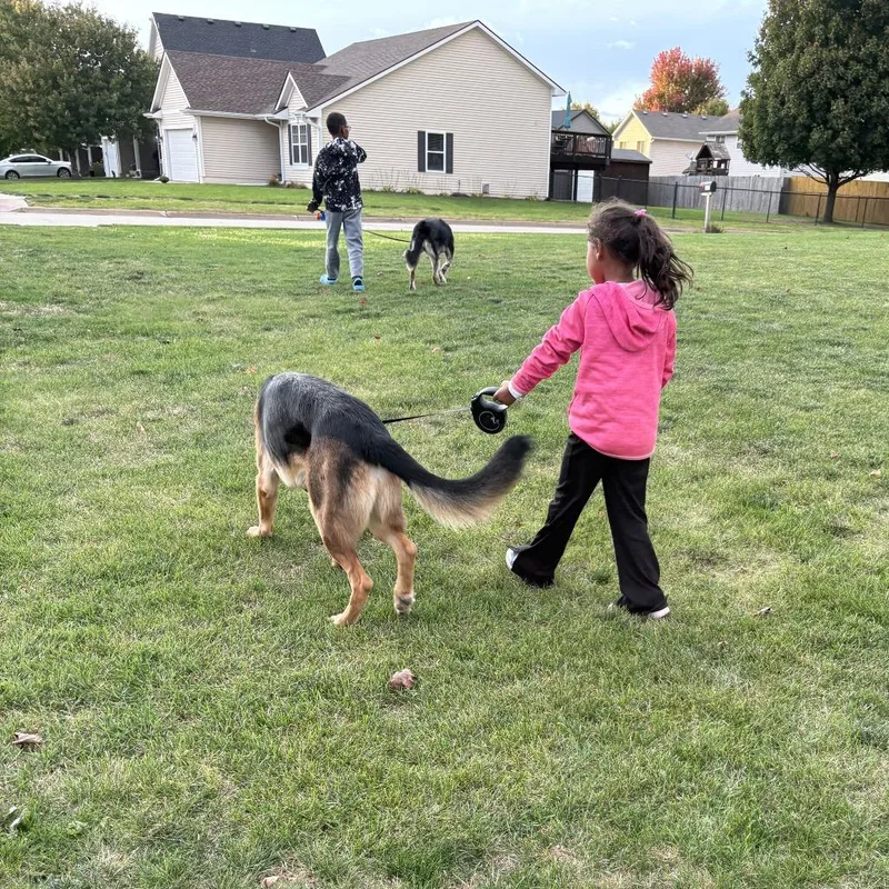 Zeus Courtesy Listing