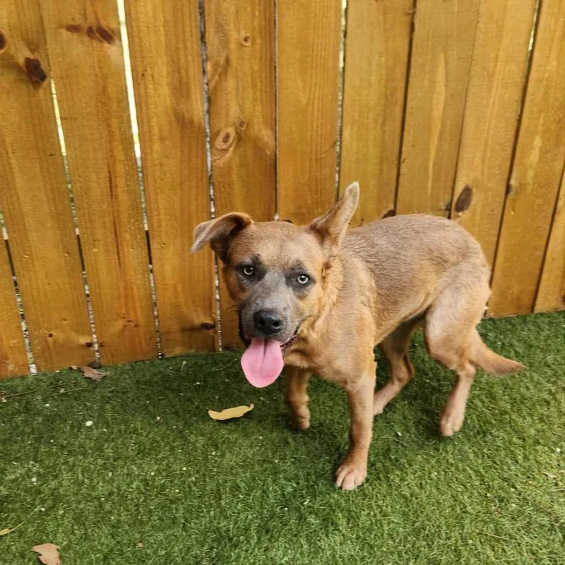 Donna Ka thumbnail 3