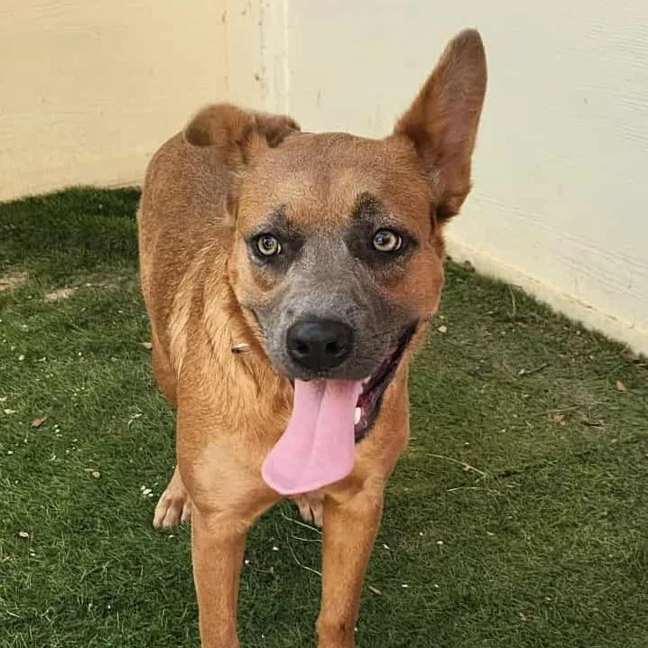 Donna Ka thumbnail 4