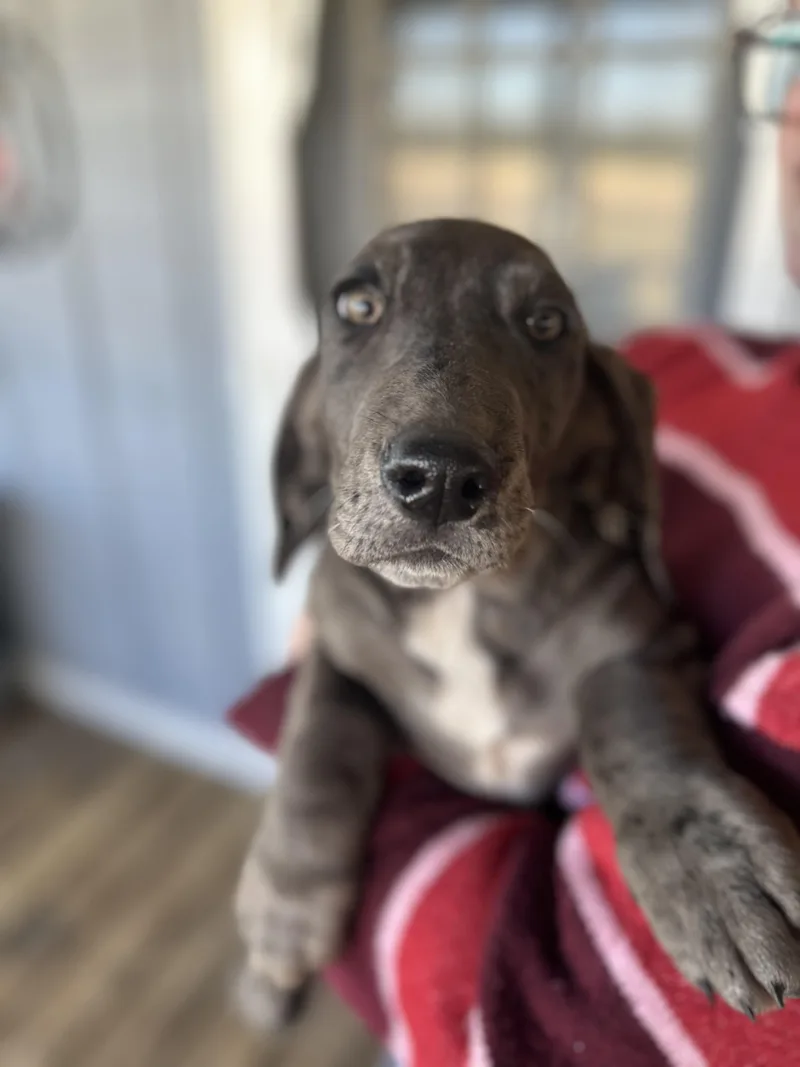 Sapphire thumbnail 3