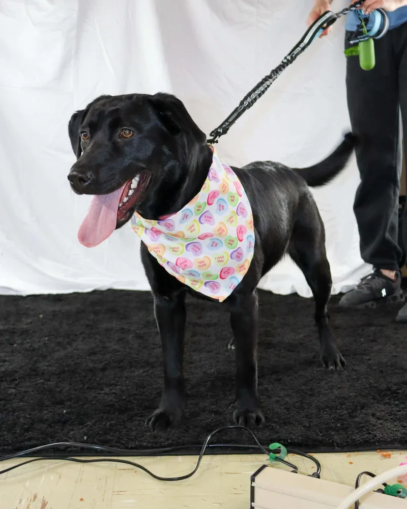 Samantha thumbnail 2