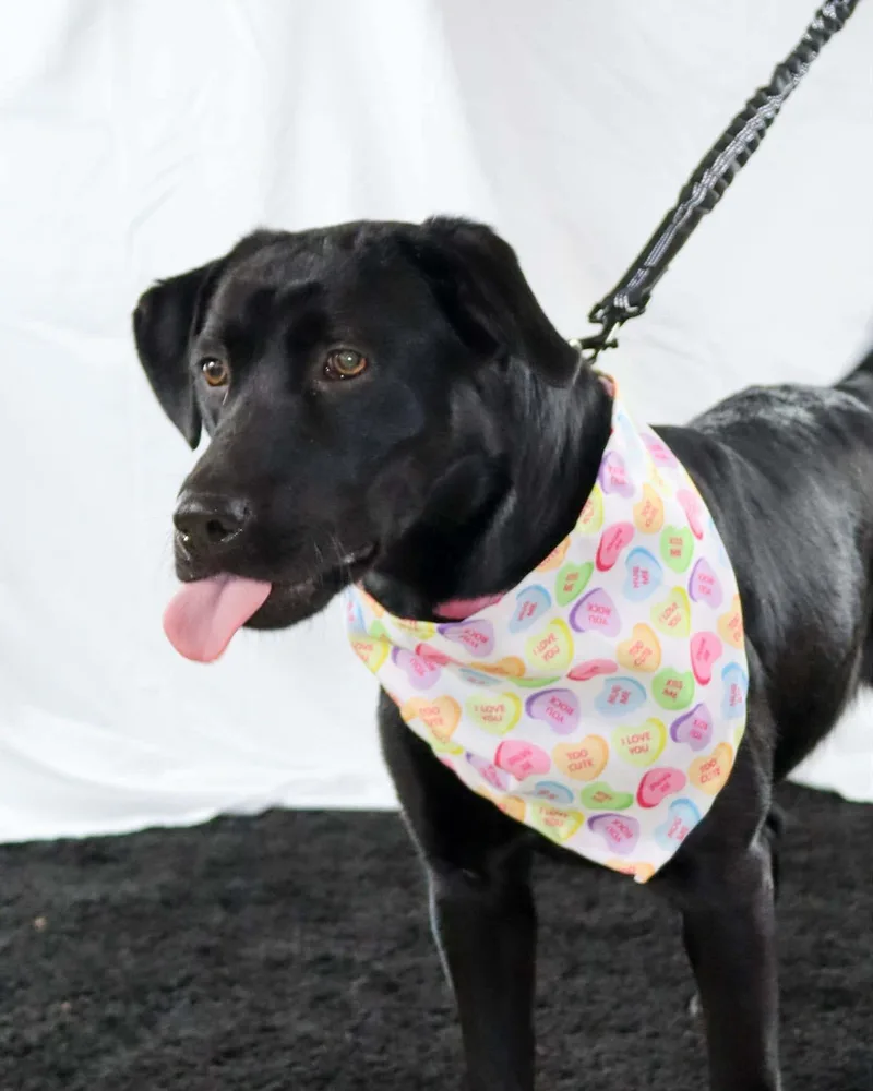 Samantha thumbnail 3