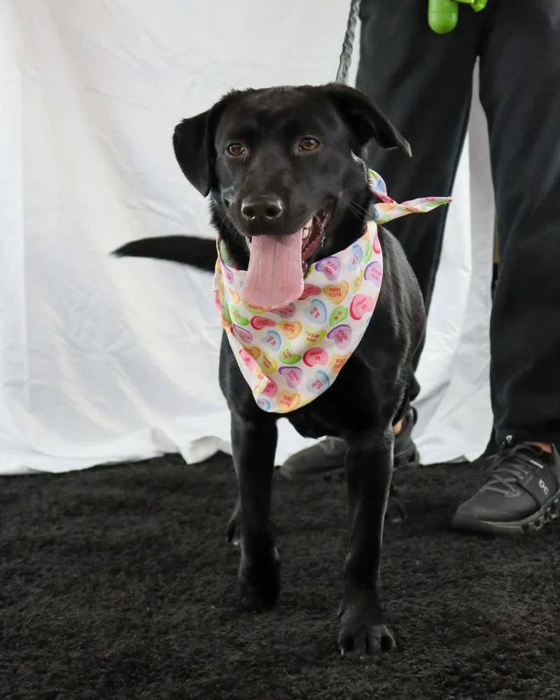 Samantha thumbnail 4