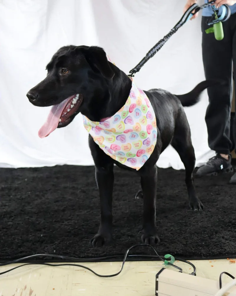 Samantha thumbnail 5