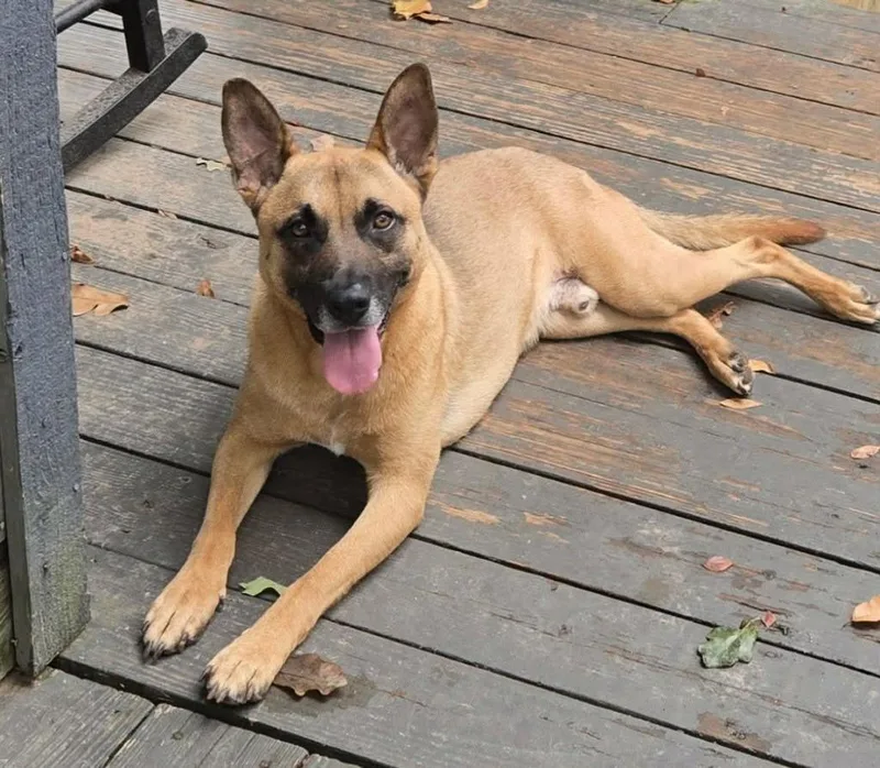 Fezaroni thumbnail 2