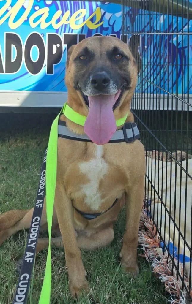 Fezaroni thumbnail 4