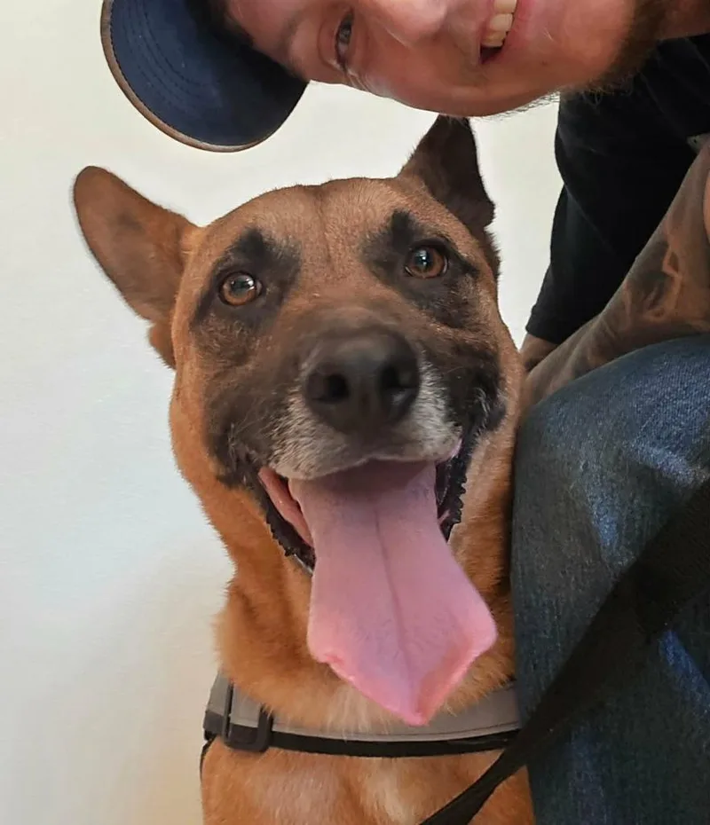 Fezaroni thumbnail 5