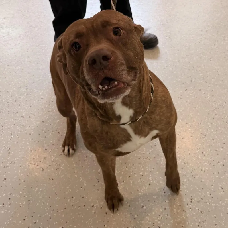 Lucky Charms thumbnail 2