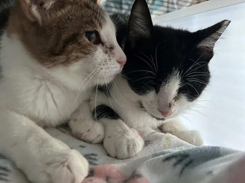 Erik Obendorf thumbnail 2