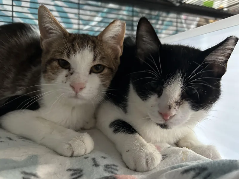 Torben Woller thumbnail 3