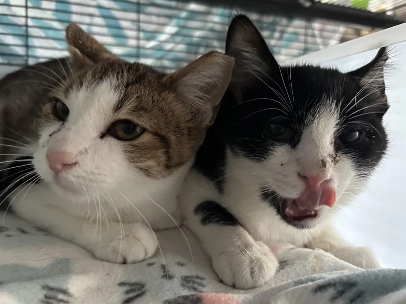 Torben Woller thumbnail 4