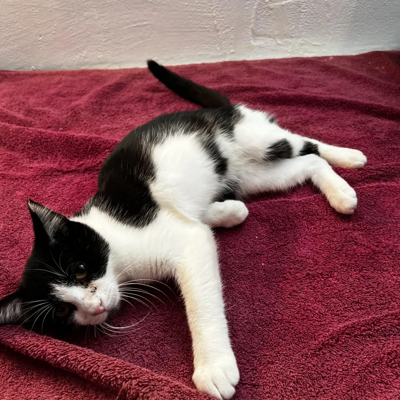 Torben Woller thumbnail 5